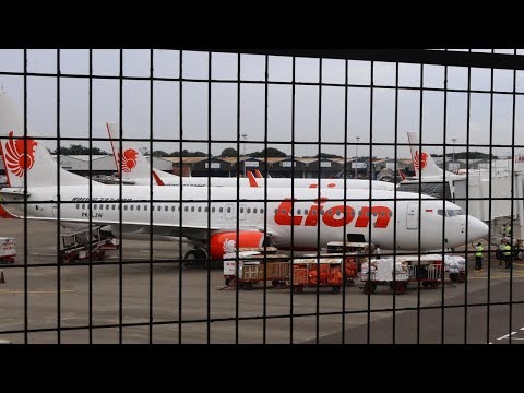 VIRAL Video Penumpang Lion Air JT 556 Diturunkan dari Pesawat, Ini Penjelasan Pihak Lion