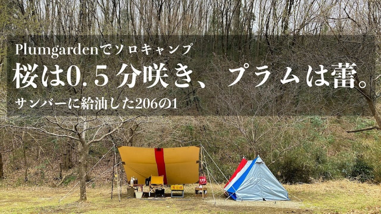 ソロキャンプ）カーミットチェアの修理をしつつ早すぎる花見〜サンバー