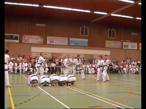 Tang Soo Do Wahing Lee and Lester Sommer board bre...