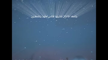 رعد كردي .. تلاوة خاشعة من أواخر سورة الحشر |✨🕊🎧