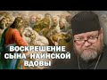 ВОСКРЕШЕНИЕ СЫНА НАИНСКОЙ ВДОВЫ (Лк.7:11-18). Протоиерей Олег Стеняев