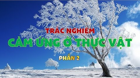 Bài tập trắc nghiệm sinh học bài 15 năm 2024