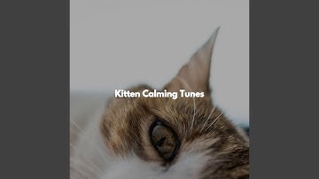 Wondrous Backdrops for Co-Working Space