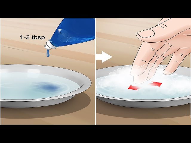 How to make a flea trap 