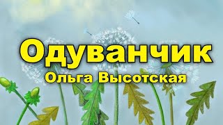 Одуванчик. Ольга Высотская