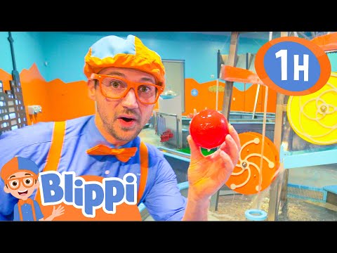 blippi-videos-for-toddlers-|-learning-at-the-children's-museum