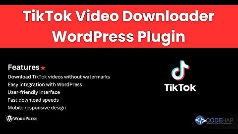 TikTok Video Downloader   Without Watermark WordPress Plugin