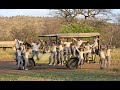 INSIDE THE FIRST ALL-WOMEN RUN CAMP IN AFRICA- Dunia Camp Serengeti