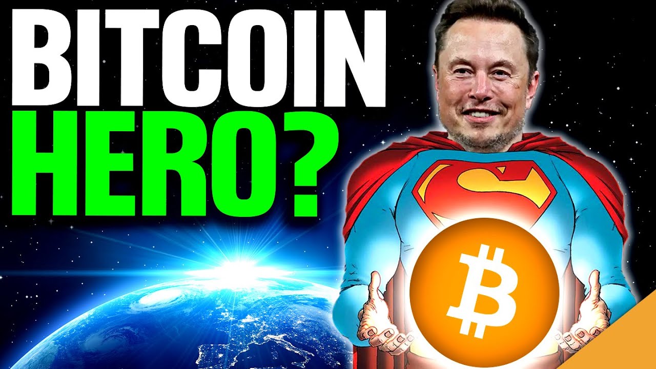 Is Elon Musk A Bitcoin HERO Again?