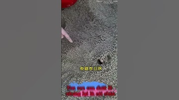 Tìm con cua dưới lỗ nhưng lại là cái chân