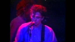 galaxie 500 - snowstorm