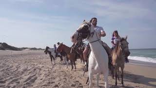Virginia Beach Horseback - Outer Banks Location