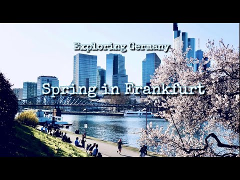 Spring in Frankfurt | Exploring Germany | Emma's diary