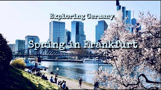 Spring in Frankfurt | Exploring Germany | Emma's diary