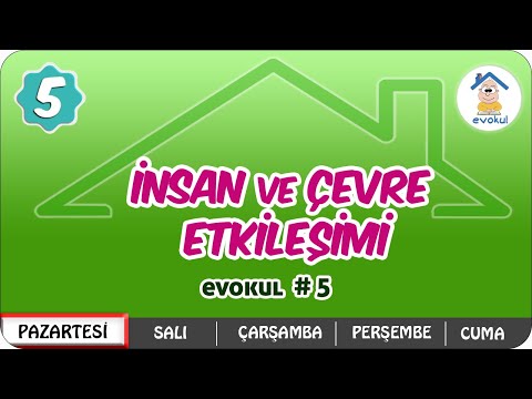 İnsan ve Çevre Etkileşimi | 5.Sınıf #uzaktanegitim #evokul Kampı