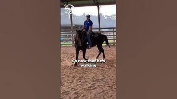 Learn How To "Ride The Eye" Of Your Horse! Part 1!  | The Horse Guru - Michael Gascon