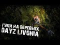 НАШЕ ЛУЧШЕЕ ПРИКЛЮЧЕНИЕ НА ЛИВОНИИ - DAYZ