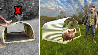 Creative Pig Shelter Construction: Small Homestead Ideas