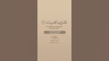 سورة المائدة [ 29 : 31 ] ~ القارئ أحمد النفيس