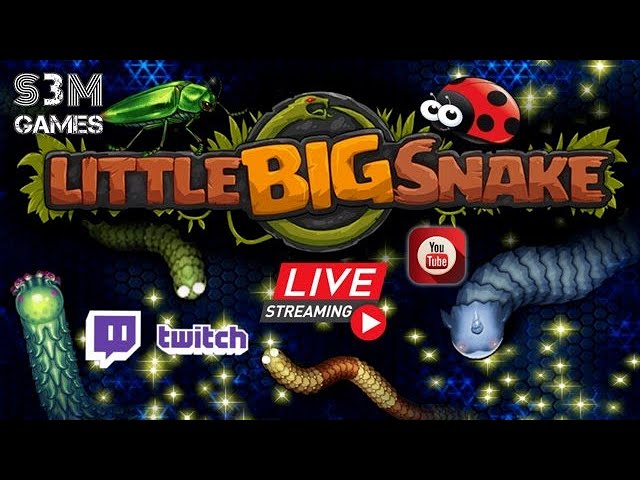 Little Big Snake - Skill games 