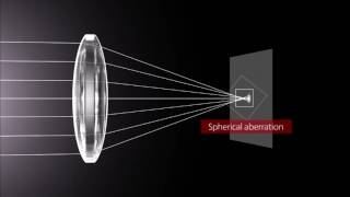 How Lenses Function