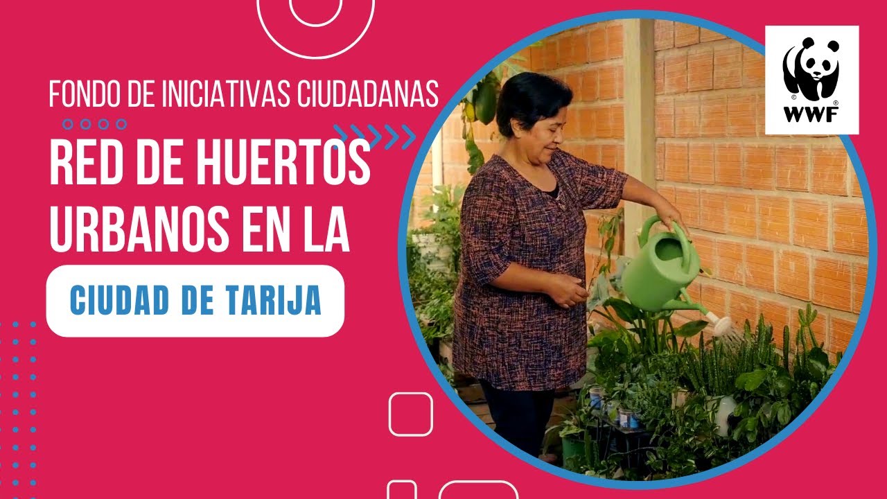 🥦 Red de HUERTOS URBANOS en la ciudad de Tarija 🌿 | Bolivia