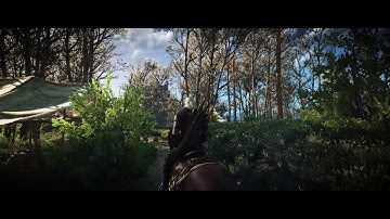The Witcher 3 Just Another Reshade None RTGI version 1.0 test 2