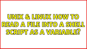Unix & Linux: How to read a file into a shell script as a variable? (3 Solutions!!)
