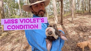 We Talk About Our Observations of Miss Violet’s Condition