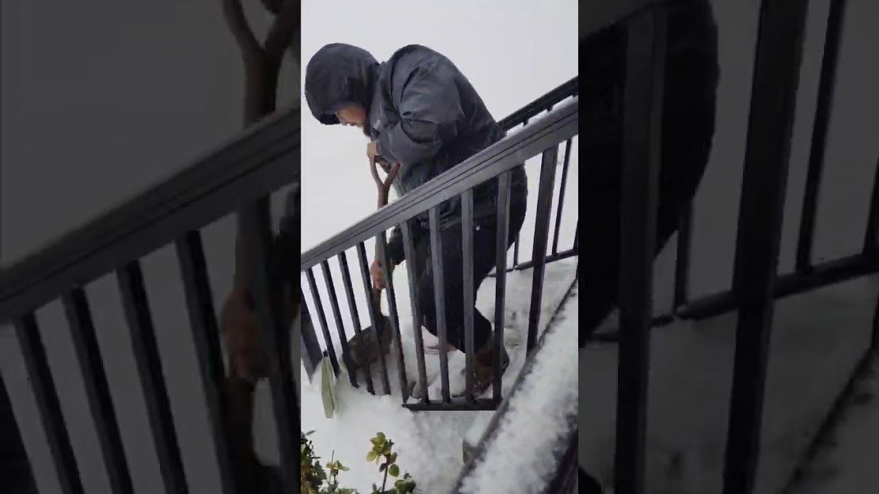 3 de febrero de 2026