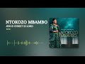 Ntokozo Mbambo - Jesus Christ Is Lord [Visualizer]