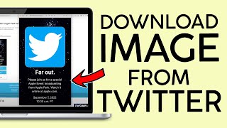 How to Download Image from Twitter 2022