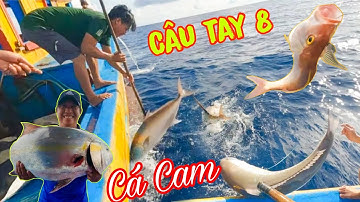 CÂU TAY 8_Phát Hiện Cá Lớn Tài Công BI Cho Bủa Câu Lúc 4h Sáng_Ngư Dân Dầm Mưa Kéo Cá 