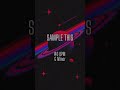 Producers- Flip This Melody 🔥