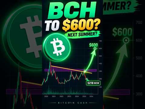 Melbet Bitcoin Cash Deposits and Speed