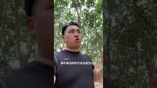 美国即将开启环太平洋军演，29个国家参与、八国联军的时代已经彻底过去！中国人民已经站起来了而且不可战胜，有我无敌！美军军演环太平洋军演 帝国主义卷王之王