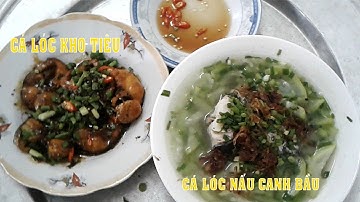 CÁ LÓC KHO TIÊU VÀ CANH BẦU CÁ LÓC NGON HẾT SẨY l XANH TV