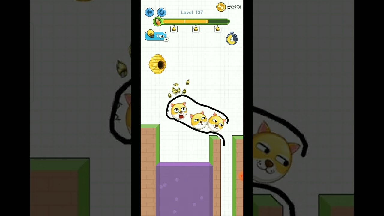 Save The Doge Level 137  