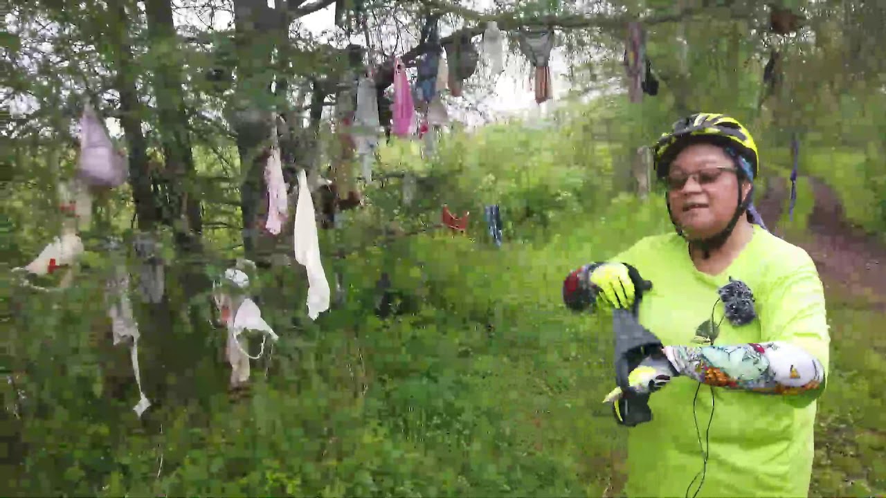 underwear tree YouTube