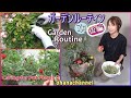 【ガーデンルーティン】７月後編❢寄せ植えの手入れ