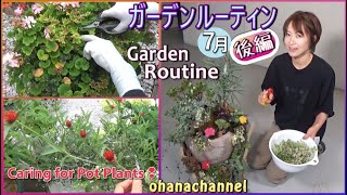 【ガーデンルーティン】７月後編❢寄せ植えの手入れ