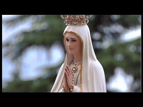 Video Kinh Mân Côi - Đọc Hàng Ngày (Có lời kinh ở phần dưới) - youtube