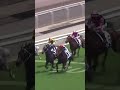 4 | 3 | PACKING KING | Z Purton #Purton #Horse #Racing #Sport #Results #賽馬結果 #马會 #油管 #赛马结果
