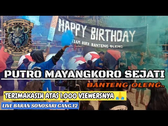 Penampilan spesialPUTRO MAYANGKORO SEJATIDi anniversary 1 Tahun PUTRA STR class=