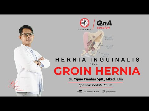 Q&A | HERNIA INGUINALIS/GROIN HERNIA (Hernia di Daerah Selangkangan)