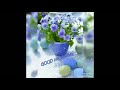 Good morning sweet flowers status video YouTube 🌹🌷🌹ll greetings, cards, wishes, gifts, Whatsapp Status Video Download Free