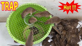 Falling into a trap \ Mouse trap with large plastic bin \ The best homemade mousetrap in the wor