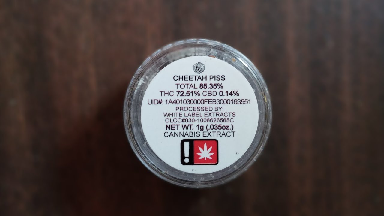 CHEETAH PISS ONE HIT REVIEW