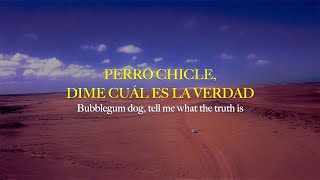 MGMT - Bubblegum Dog || Sub. Inglés/ Español + LYRICS (ENGLISH) @whoismgmt