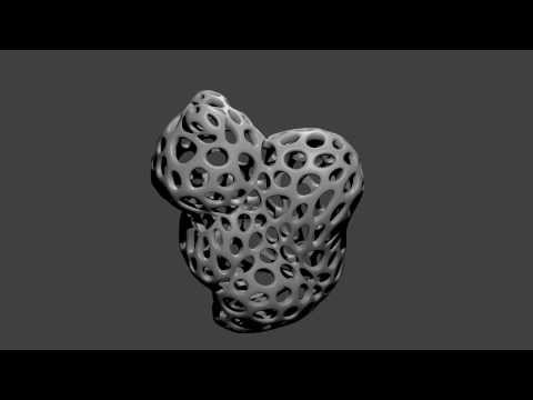 Squirrel - Voronoi